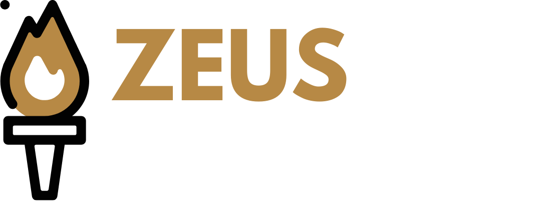 Zeus Systems Google Ads Agency